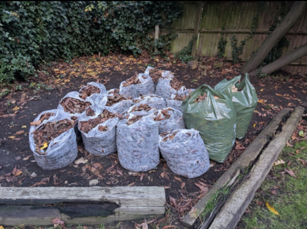 Multiple bags of leaves and green waste lined up in a cleared garden area.